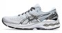 Кроссовки Asics Gel-Kayano 27 Platinum W 1012A763 020 №1