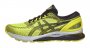 Кроссовки Asics Gel-Nimbus 21 .1011A169 750 №1