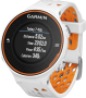 Часы Garmin Forerunner 620 HRM Premium №2