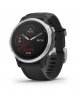 Часы Garmin Fenix 6S FNX6S-GR-BLK №1