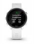 Часы Garmin Forerunner 245 Music HR FRNR245-MSC-HR-WF-WHT №2