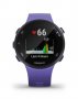 Часы Garmin Forerunner 45 HR FRNR45-HR-BLU №3