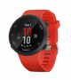 Часы Garmin Forerunner 45 HR FRNR45-HR-RD №1