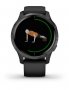 Часы Garmin Venu VN-BLK-GR №2