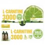 Питьевая ампула Gold Nutrition L-Carnitine 3000 10 ml Лимон GN61022 №1