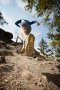 Кроссовки Hoka Speedgoat 5 .1123157BCEP №9