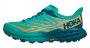 Кроссовки Hoka Speedgoat 5 W 1123158DTWGR №1