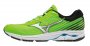 Кроссовки Mizuno Wave Rider 22 J1GC1831 04 №1