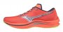 Кроссовки Mizuno Wave Rebellion W J1GD2117 01 №1