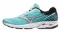 Кроссовки Mizuno Wave Rider 22 W J1GD1831 69 №1