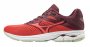 Кроссовки Mizuno Wave Rider 23 W .J1GD1903 59 №1