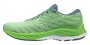 Кроссовки Mizuno Wave Rider 26 J1GC2203 56 №1