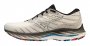 Кроссовки Mizuno Wave Rider 26 J1GC2263 01 №1