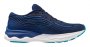 Кроссовки Mizuno Wave Skyrise 4 J1GC2309 53 №4