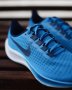 Кроссовки Nike Air Zoom Pegasus 37 .BQ9646 400 №10