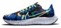 Кроссовки Nike Air Zoom Pegasus 38 A.I.R. Kelly Anna London .DD1827 001 №1