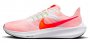 Кроссовки Nike Air Zoom Pegasus 39 DH4071 102 №1