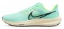 Кроссовки Nike Air Zoom Pegasus 39 DH4071 301 №1