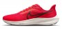 Кроссовки Nike Air Zoom Pegasus 39 DH4071 600 №1