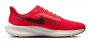 Кроссовки Nike Air Zoom Pegasus 39 DH4071 600 №8