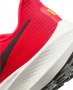 Кроссовки Nike Air Zoom Pegasus 39 DH4071 600 №7