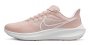 Кроссовки Nike Air Zoom Pegasus 39 W DH4072 601 №1