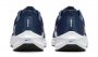 Кроссовки Nike Air Zoom Pegasus 40 DV3853 400 №5