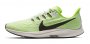 Кроссовки Nike Air Zoom Pegasus 36 AQ2203 003 №1