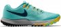 Женские кроссовки Nike Air Zoom Terra Kiger 4 W 880564 300 голубые №1