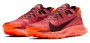 Кроссовки Nike Pegasus Trail 2 CK4305 601 №3