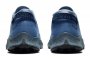Кроссовки Nike Pegasus Trail 2 G-TX .CU2016 400 №5