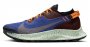 Кроссовки Nike Pegasus Trail 2 G-TX CU2016 600 №1