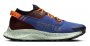 Кроссовки Nike Pegasus Trail 2 G-TX CU2016 600 №10