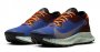 Кроссовки Nike Pegasus Trail 2 G-TX CU2016 600 №3