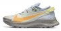 Кроссовки Nike Pegasus Trail 2 W .CK4309 001 №1