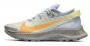 Кроссовки Nike Pegasus Trail 2 W CK4309 001 №1