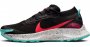 Кроссовки Nike Pegasus Trail 3 G-TX DC8793 002 №1