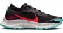 Кроссовки Nike Pegasus Trail 3 G-TX DC8793 002 №3