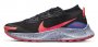 Кроссовки Nike Pegasus Trail 3 G-TX W DC8794 002 №1