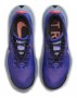 Кроссовки Nike Pegasus Trail 3 W .DA8698 401 №4
