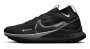 Кроссовки Nike Pegasus Trail 4 G-TX DJ7926 001 №1