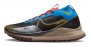 Кроссовки Nike Pegasus Trail 4 G-TX DJ7926 003 №1