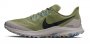 Кроссовки Nike Pegasus Trail .CK0082 300 №1