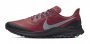 Кроссовки Nike Pegasus Trail CK0082 600 №1