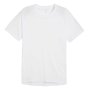 Футболка Puma Run Velocity Tee Tri-Blend 526603 02 №1