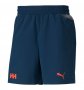 Шорты Puma Puma x Helly Hansen Woven Short 521203 65 №1