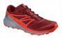 Кроссовки Salomon Sense Ride 2 L40601000 №2