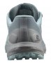 Кроссовки Salomon Sense Ride Invisible 4 G-TX W L41306900 №4