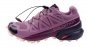 Кроссовки Salomon Speedcross 5 G-TX W L40957400 №1