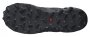 Кроссовки Salomon Wildcross 2 G-TX .L41455400 №2